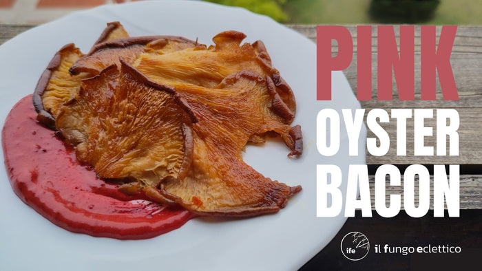 Pink Oyster Bacon