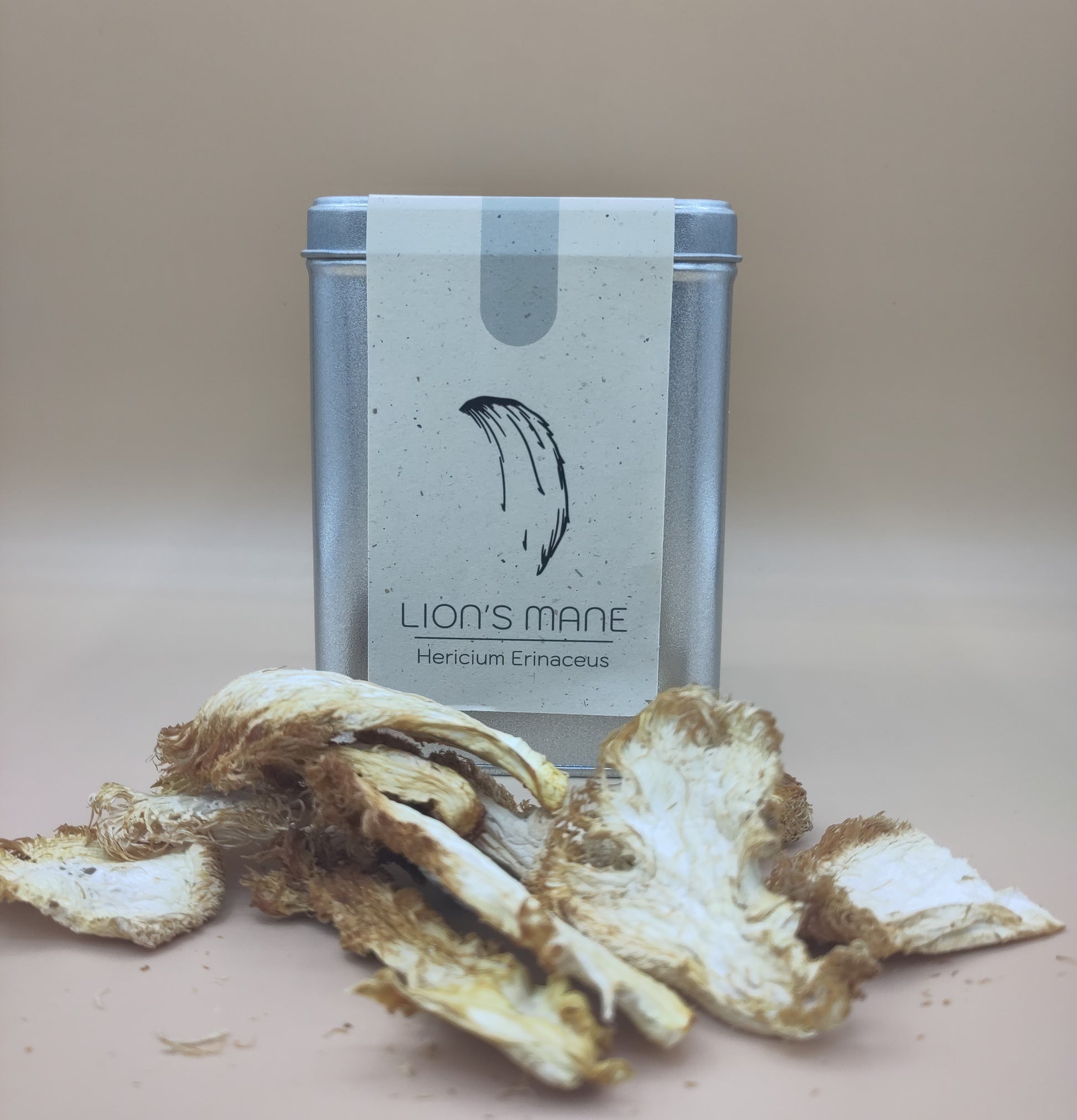 Dried | Lion's Mane