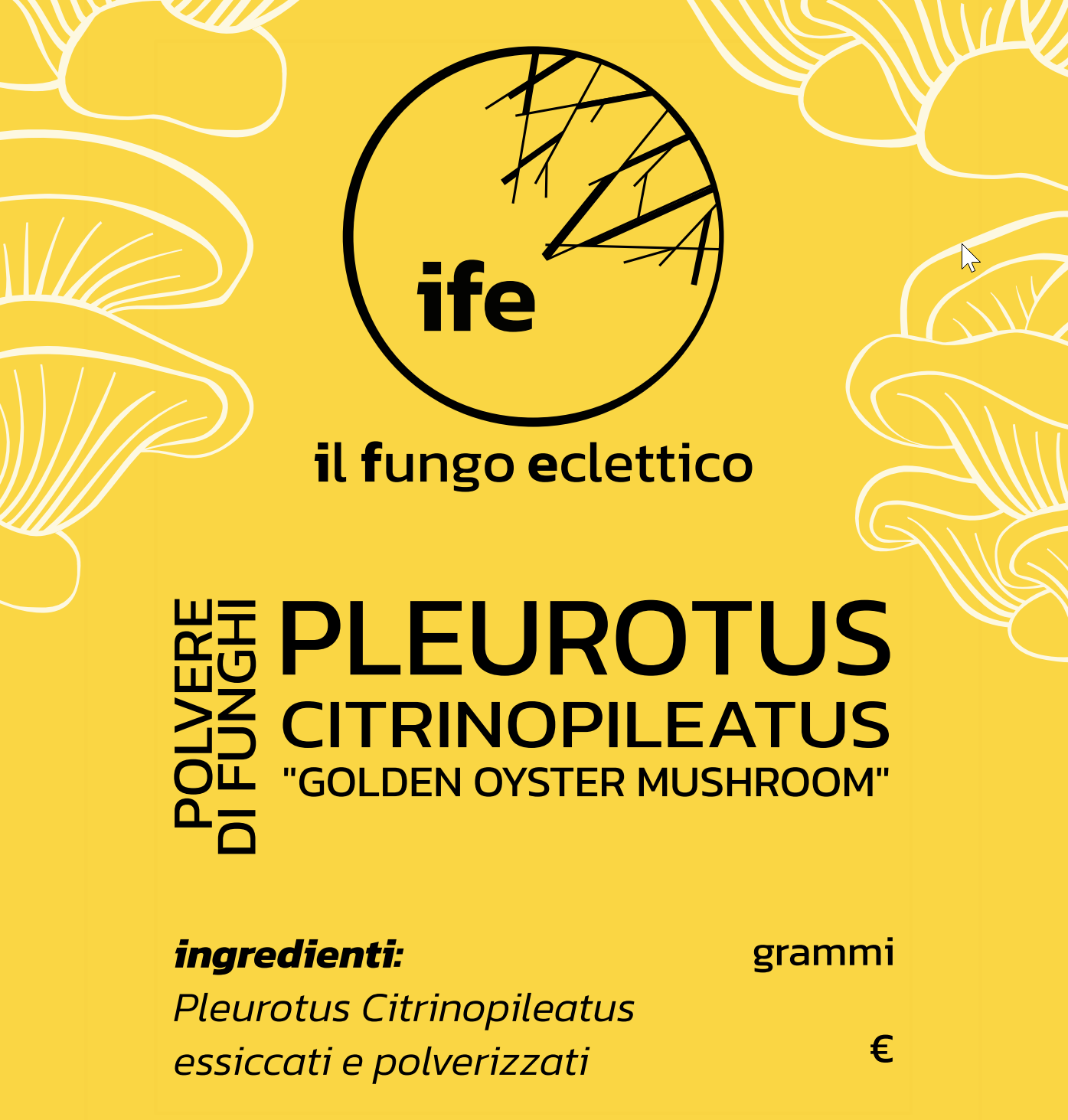 Polvere di YELLOW OYSTER | Pleurotus Citrinopileatus