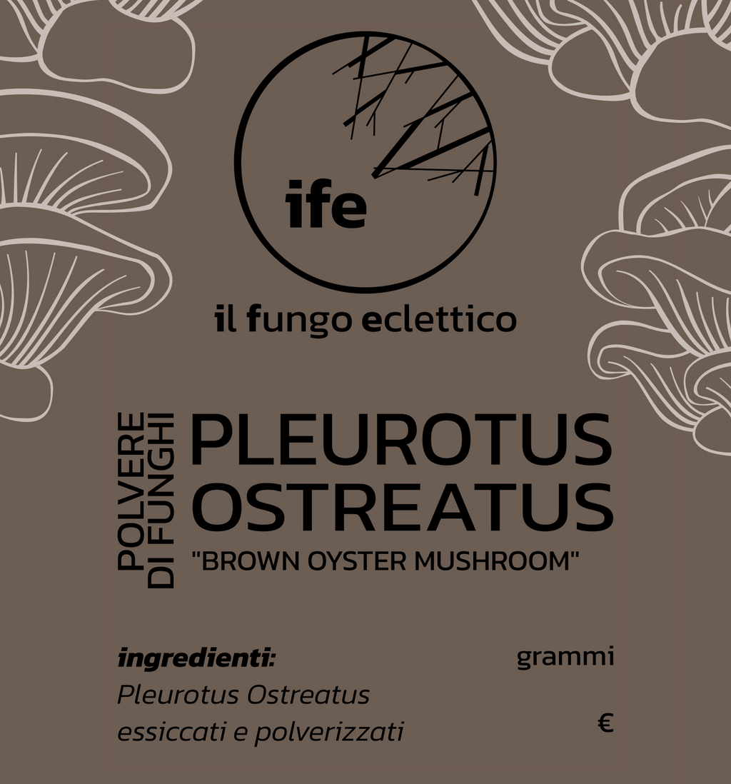 Polvere di BROWN OYSTER | Pleurotus Ostreatus