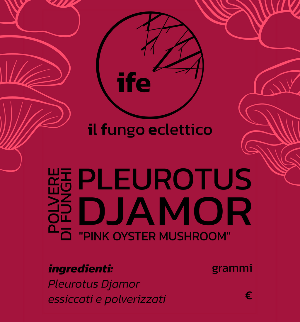 Polvere di PINK OYSTER | Pleurotus Djamor