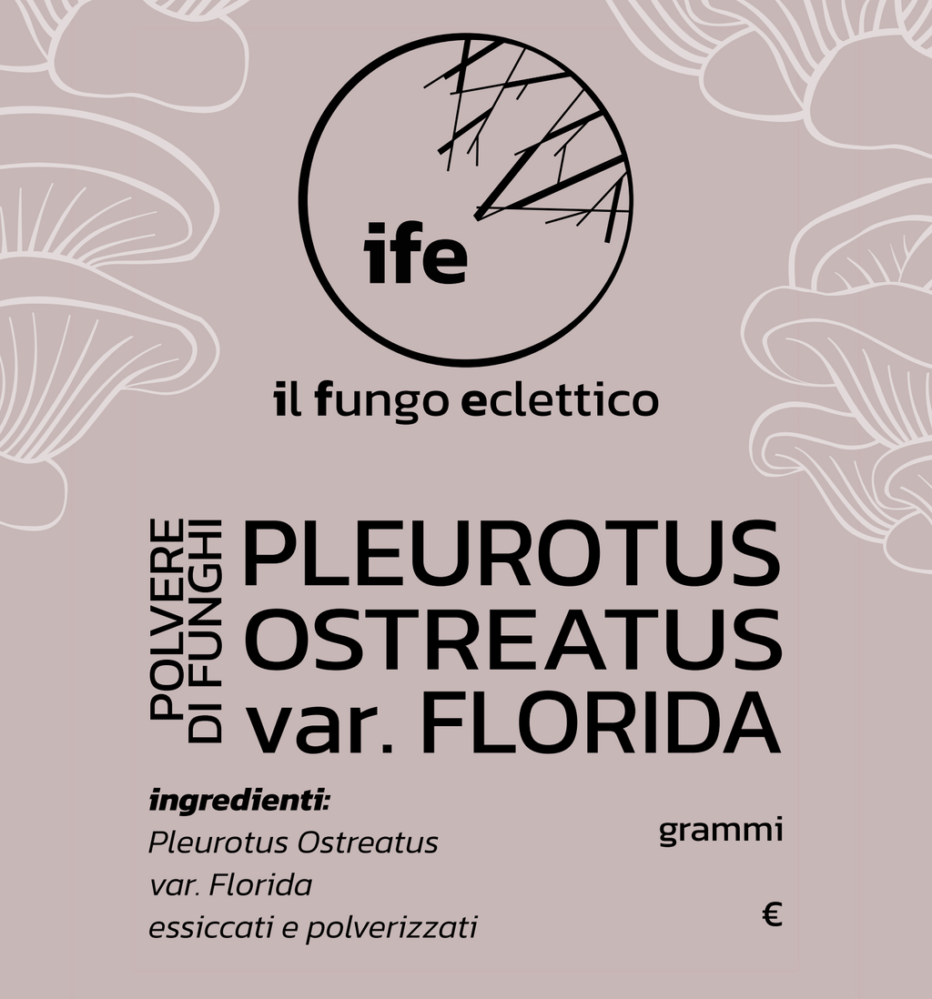 Polvere di FLORIDA OYSTER | Pleurotus Ostreatus var. Florida