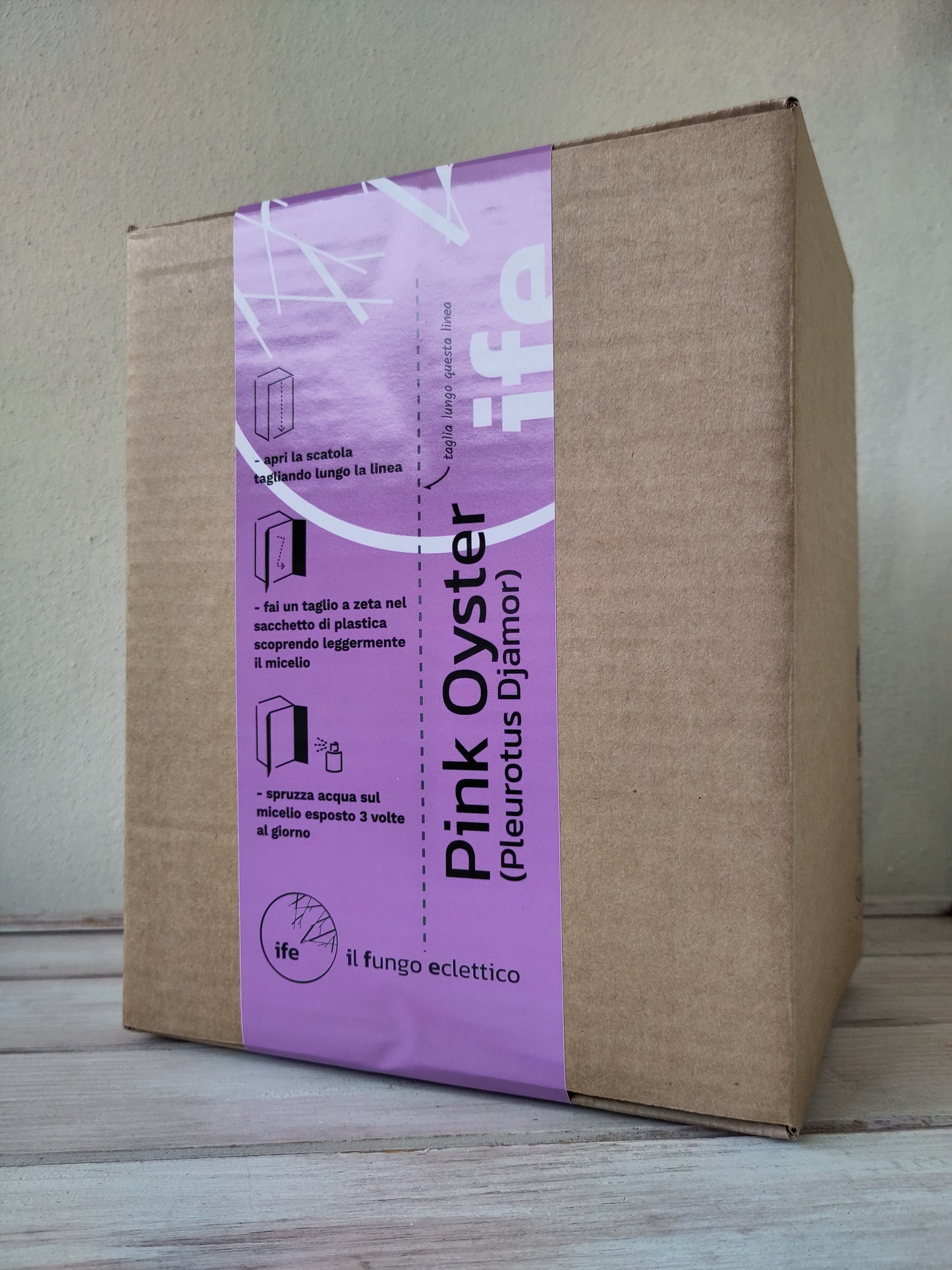 Grow Box PINK OYSTER | Pleurotus Djamor