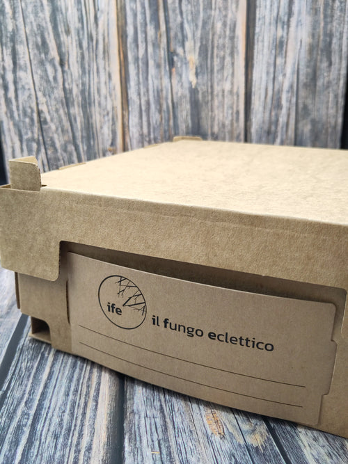 Box | Mix funghi di stagione