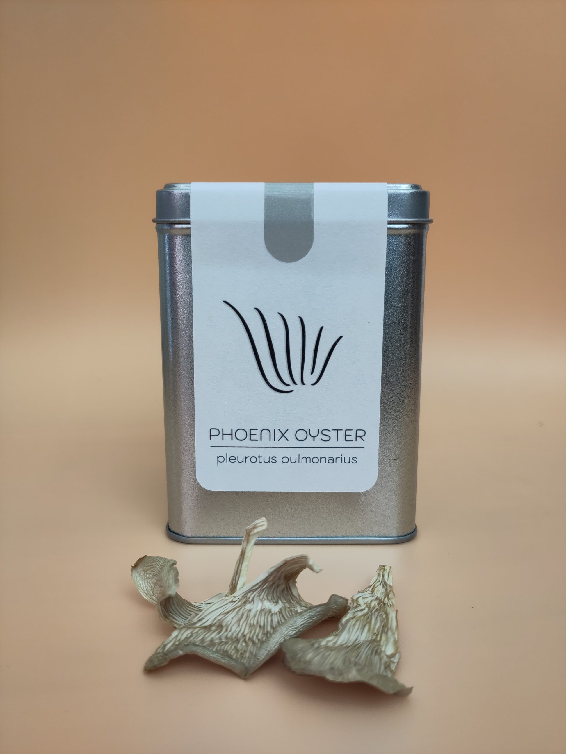 Dried | Phoenix