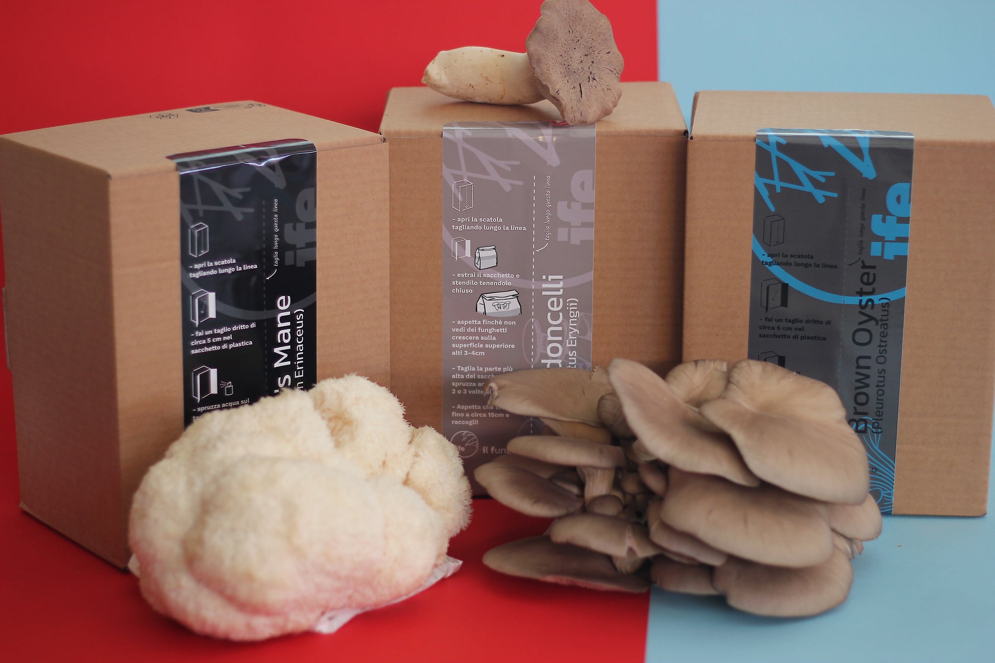 Xmas bundle | Coltivatore in e̵r̵b̵a̵ funghi