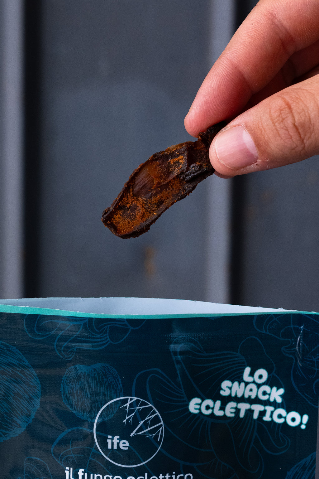 Mushroom Jerky | Original