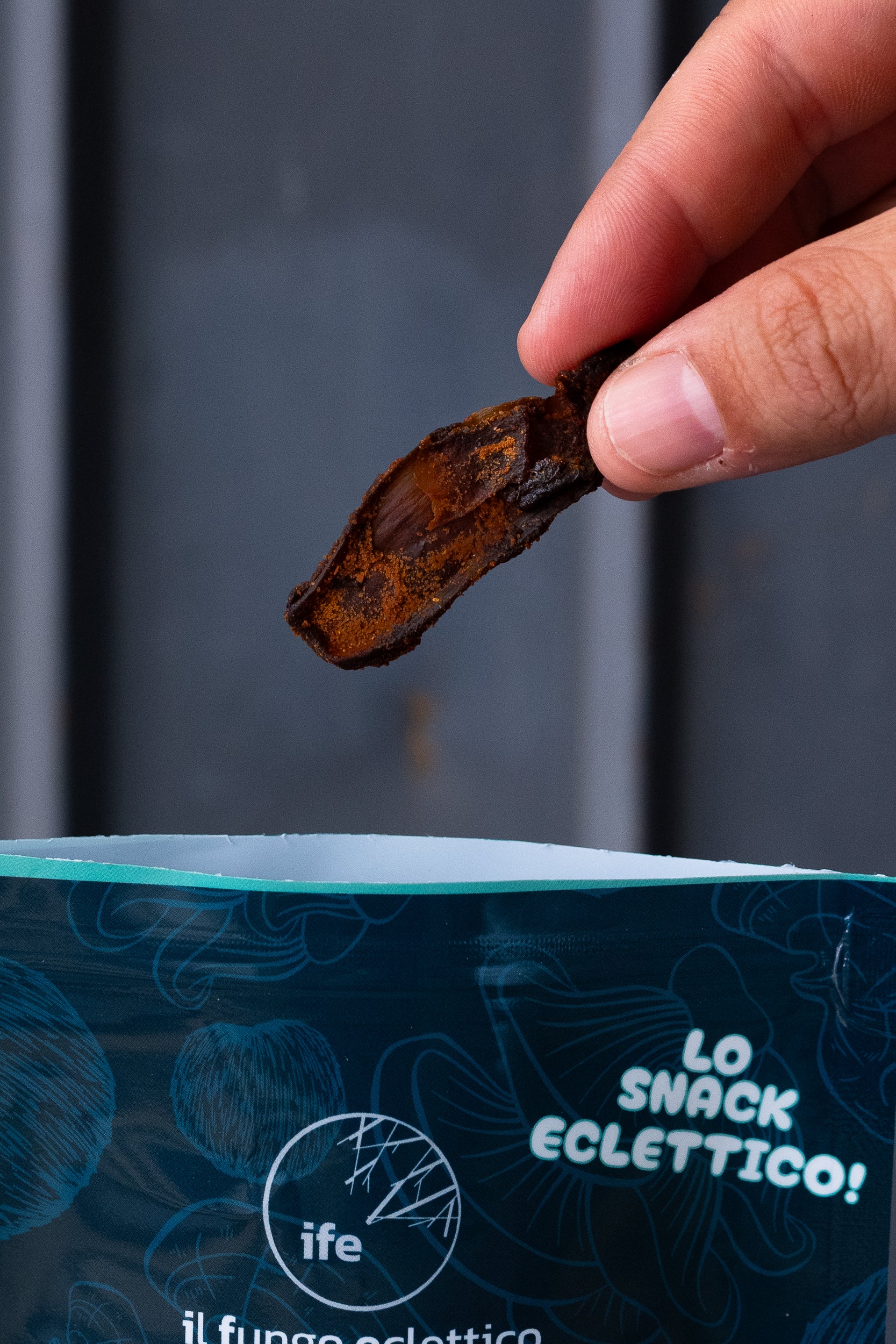 Mushroom Jerky | Original