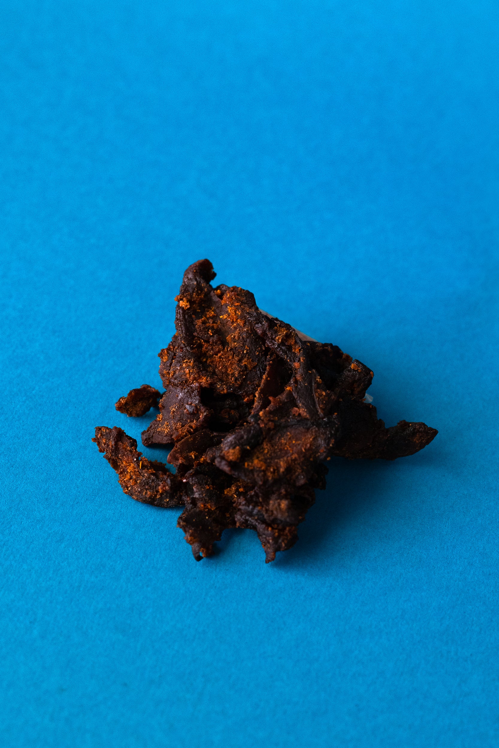 Mushroom Jerky | Original